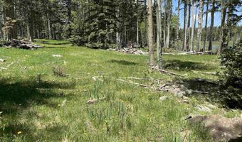 Lot 40 Ab Hidden lake Circle, Angel Fire, NM 87710