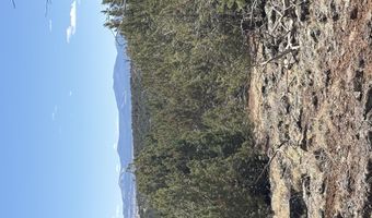 26 Spruce Dr Rd # 8051, Concho, AZ 85924