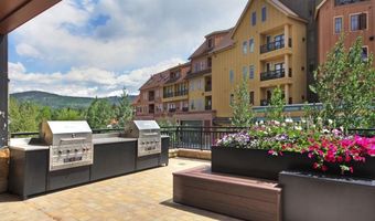 535 S Park Ave 317, Breckenridge, CO 80424