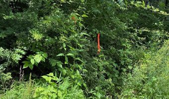 81 82 CABIN Rd, Augusta, WV 26704