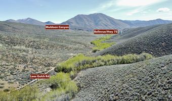 TBD Lees Gulch Rd, Bellevue, ID 83313