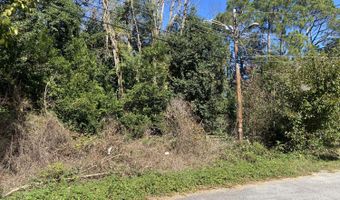 Jones Circle, Bishopville, SC 29010