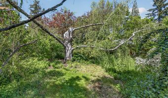 324 Liberty St, Ashland, OR 97520