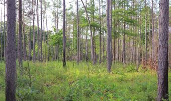Hwy 9, Bruce, MS 38915