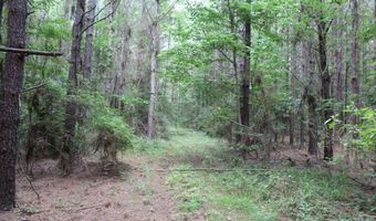 0000 Highway 550 NW, Brookhaven, MS 39601