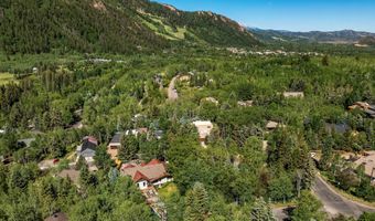 153 W Lupine Dr, Aspen, CO 81611