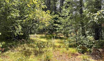 NH Route 3, Bridgewater, NH 03222