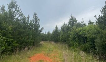 0 Salco Rd, Axis, AL 36505