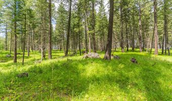 510 Swan Hill Rd, Bigfork, MT 59911