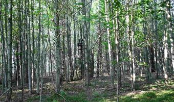 9537 LAKEVIEW, Alanson, MI 49706