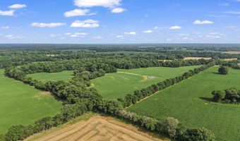 Old Jackson Road, Bells, TN 38006