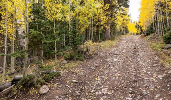 754 S Driftwood Dr, Brian Head, UT 84719