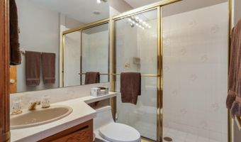 60 Elk Track Ct, Beaver Creek, CO 81620