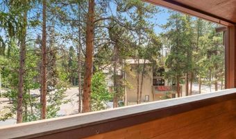 800 Columbine Rd 11, Breckenridge, CO 80424