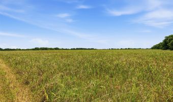 421 Chambers Creek Trl, Alvarado, TX 76009