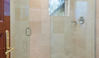 208 S Spring St #1, Aspen, CO 81611
