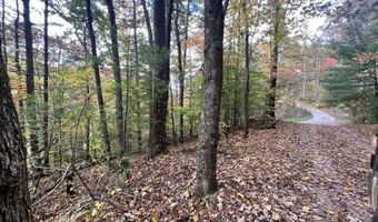 3 Pine Forest Rd, Campton, KY 41301