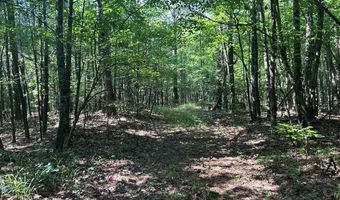 Reeves Road, Ashland, MS 38603