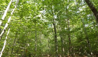 Lot 6 Maplecrest Road, Parsonsfield, ME 04047