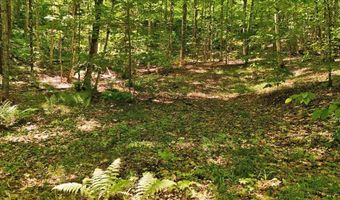 Barnett Road lot 16, Calais, VT 05648