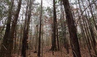 Christian Hts Road, Braxton, MS 39044