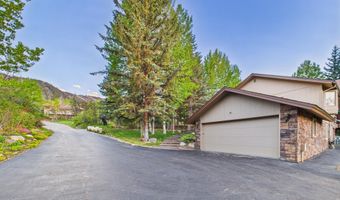593 Meadowood Dr, Aspen, CO 81611