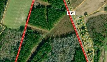 TBD Binnicker Bridge Road, Bamberg, SC 29003