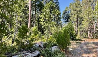3229 Ponderosa Rd, Arnold, CA 95223