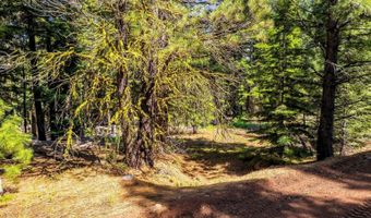 8735 Bering Rd, Alturas, CA 96101
