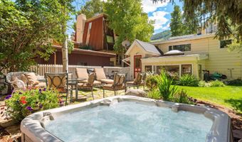 214 W Hyman Ave, Aspen, CO 81611