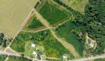 20 Ac State Hwy 95 Columbia Rd, Abbeville, AL 36310