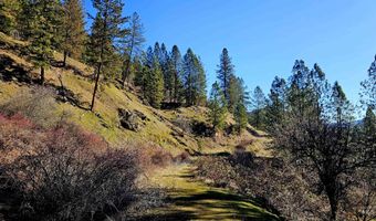 618 Quail Dr, Ahsahka, ID 83520