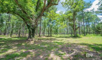 0 Hurricane Rd, Bay Minette, AL 36507