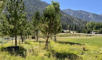 565 Jackson Ranch Rd, Gardnerville, NV 89460