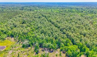 93 Acres Dell Rd, Bainbridge, GA 39819
