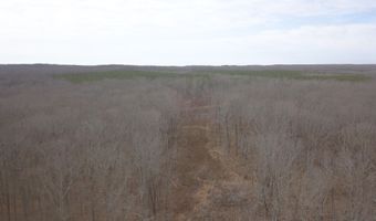 4872 Deer Run Rd, Altamont, TN 37301