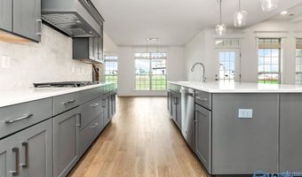 13787 Goff Dr, Athens, AL 35611