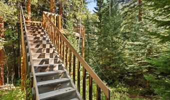 9555 Castle Creek Rd, Aspen, CO 81611