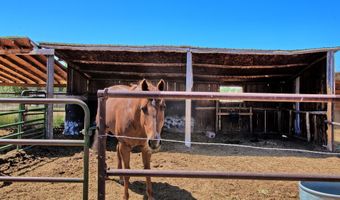 10341 Tongue Creek Rd, Austin, CO 81410