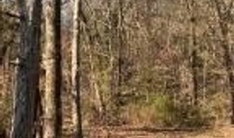 00000 Crow Mountain Dr, Atkins, AR 72823