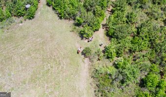 County Road 231, Abbeville, AL 36310