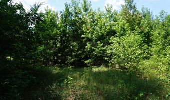 000 Stokes Rd, Bald Knob, AR 72010