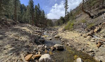 122 Black Hollow Rd, Bellvue, CO 80512