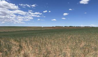 TBD Road 18, Yellow Jacket, CO 81335