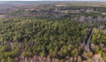 Jacksonville Loop, Tallapoosa, GA 30176