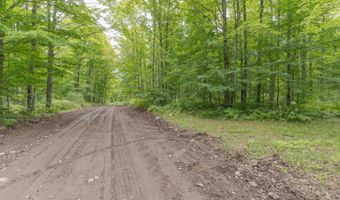 TBD Fishing Site # 2, Amasa, MI 49903