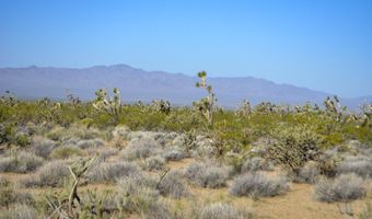 2641 S Javalina Rd, Yucca, AZ 86438