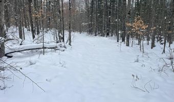 9606 MUNGER Rd, Afton, MI 49705