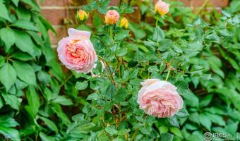 604 Mapleton Ave, Boulder, CO 80304
