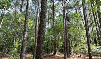 Highway 112, Abbeville, GA 31001